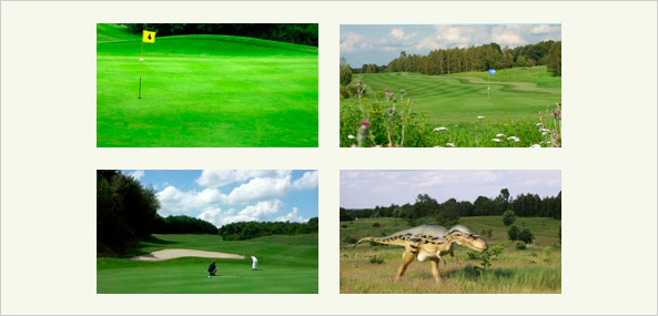 Golf Fernmitgliedschaft im Golfclub Rehburg-Loccum bei Hannover